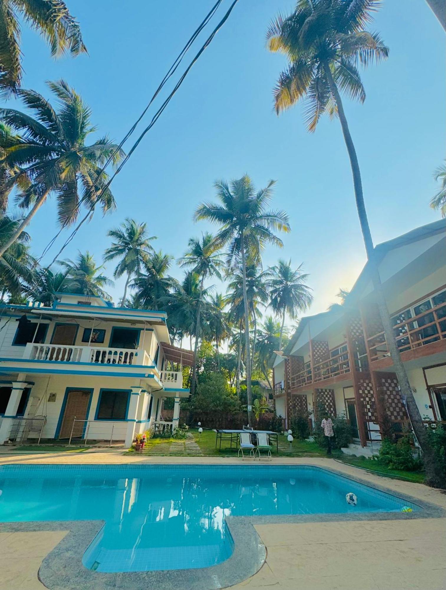 White Turtle Hotel Morjim Extérieur photo